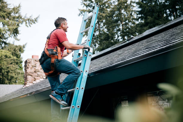 Best Chimney Flashing Repair  in Twin Lakes, CA